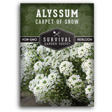 Carpet of Snow Alyssum seeds for planting