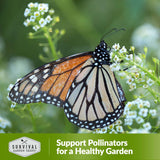 Support pollinators for a healthy garden