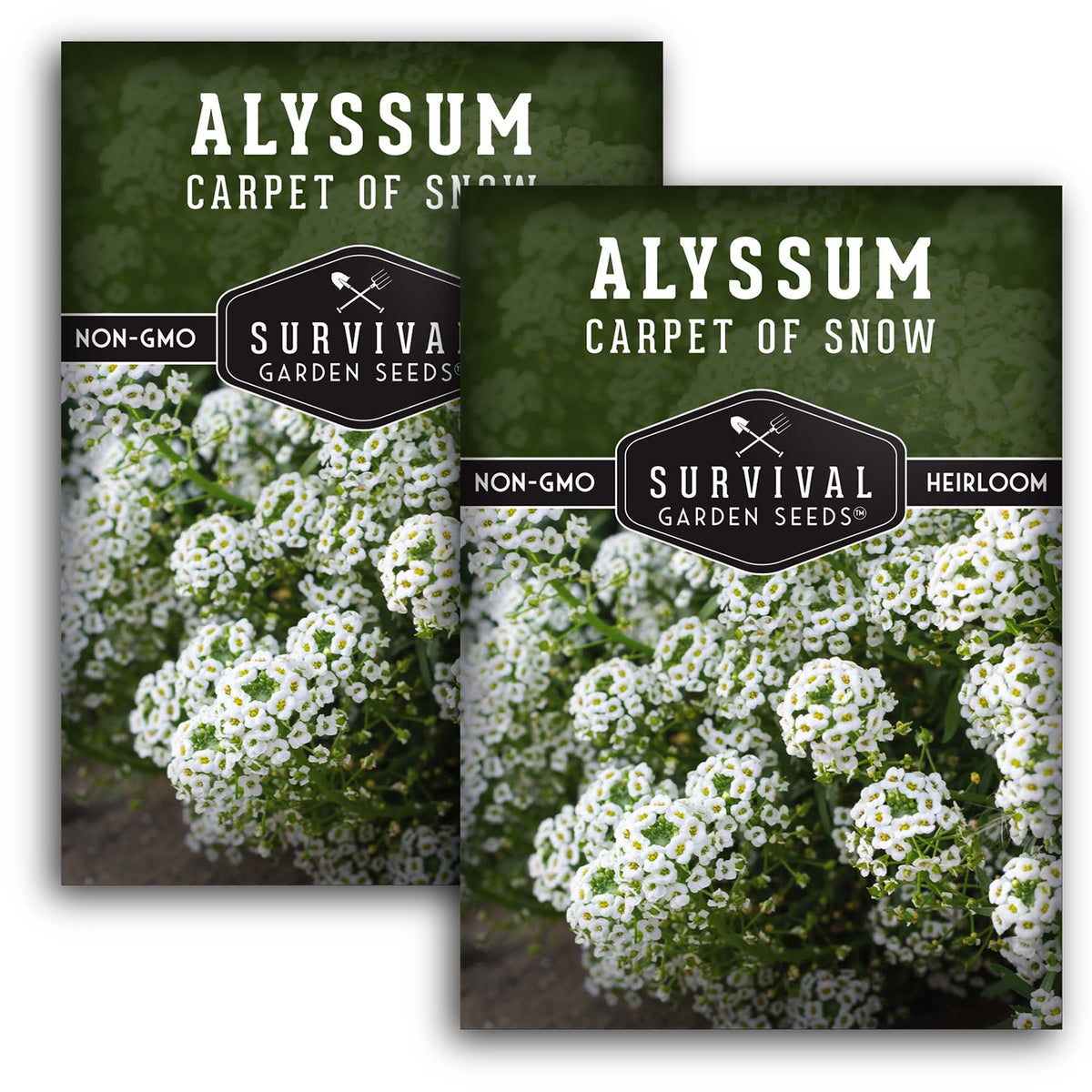 Carpet of Snow Alyssum Seeds