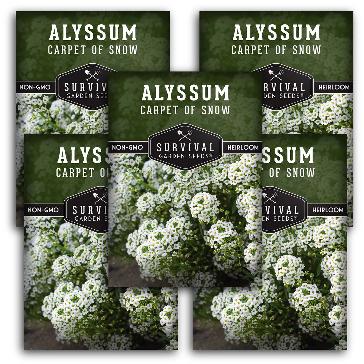 Carpet of Snow Alyssum Seeds