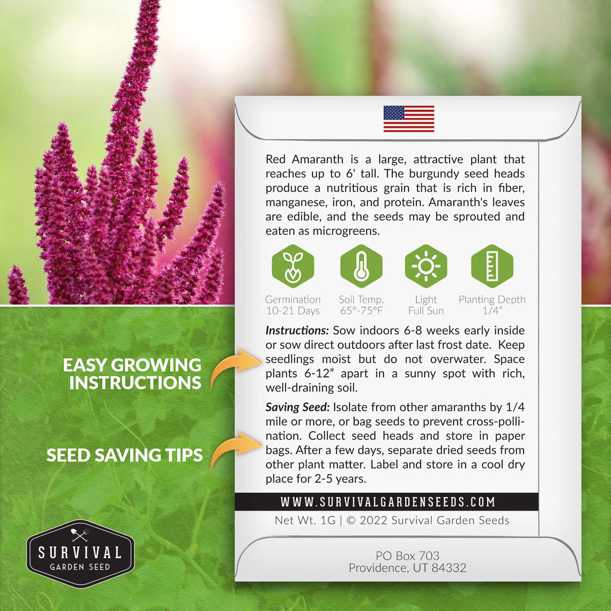 Amaranth Seeds – SurvivalGardenSeeds