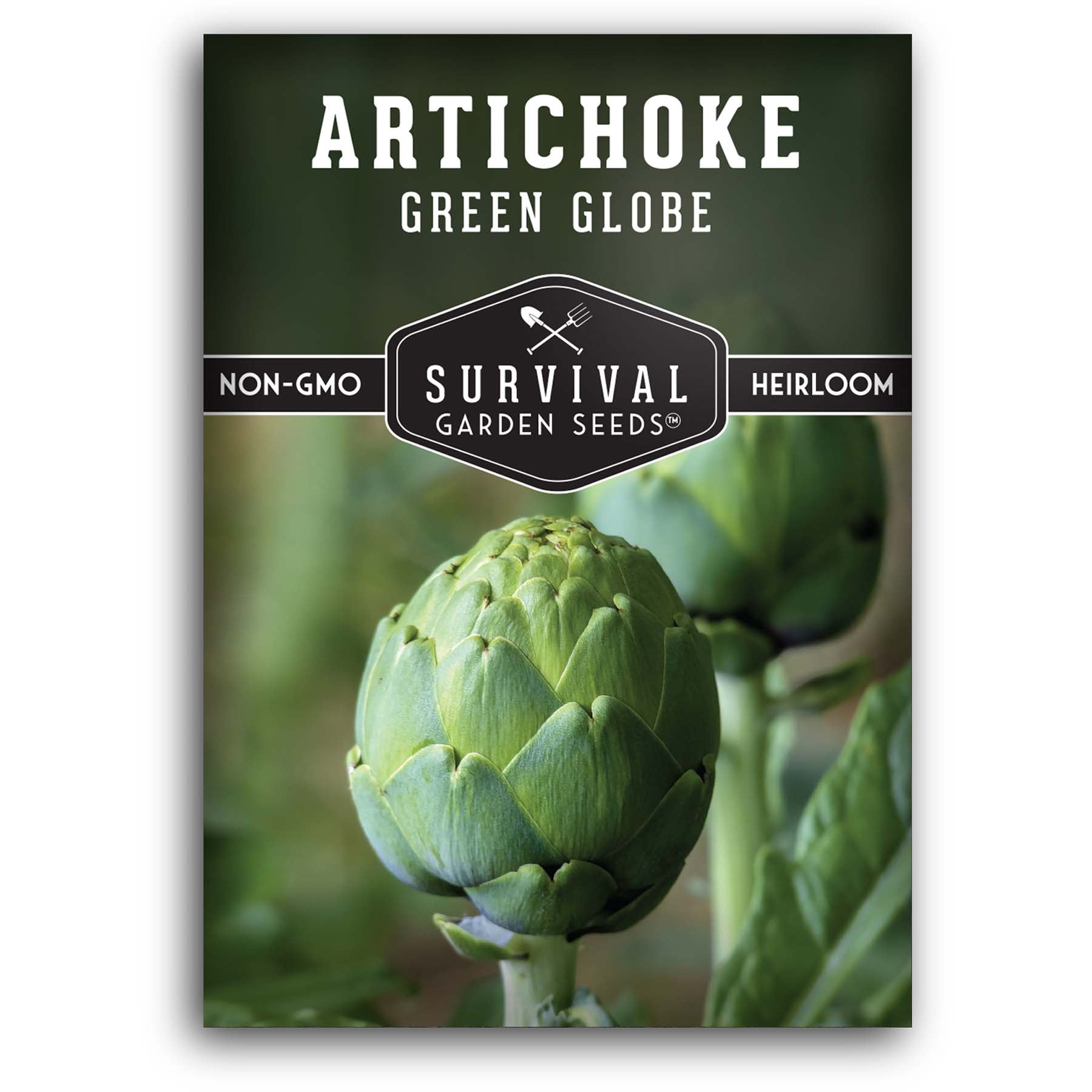 Green Globe Artichoke seeds for planting