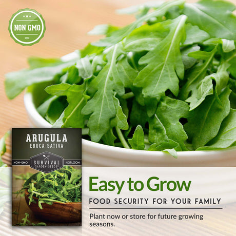 Arugula is easy to grow