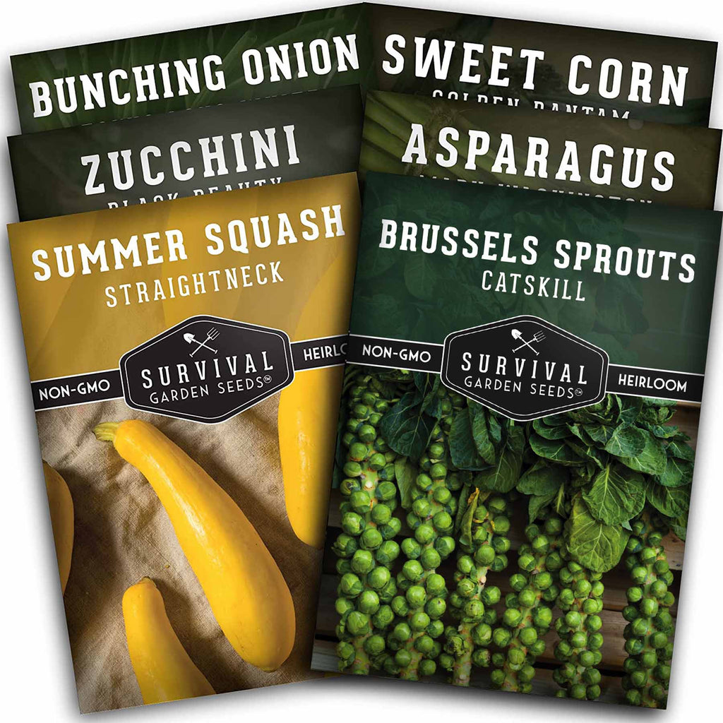 Barbecue Veg Collection - Asparagus, Brussels Sprouts, Green Onion, Zucchini, Yellow Squash, & Sweet Corn