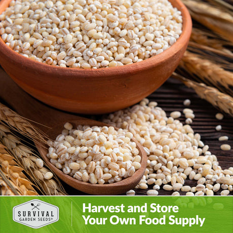 Harvest and store your own food supply