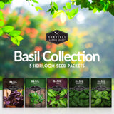 Basil Collection - 5 packs of basil seeds
