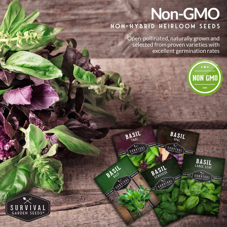 Non-gmo non-hybrid heirloom basil seeds