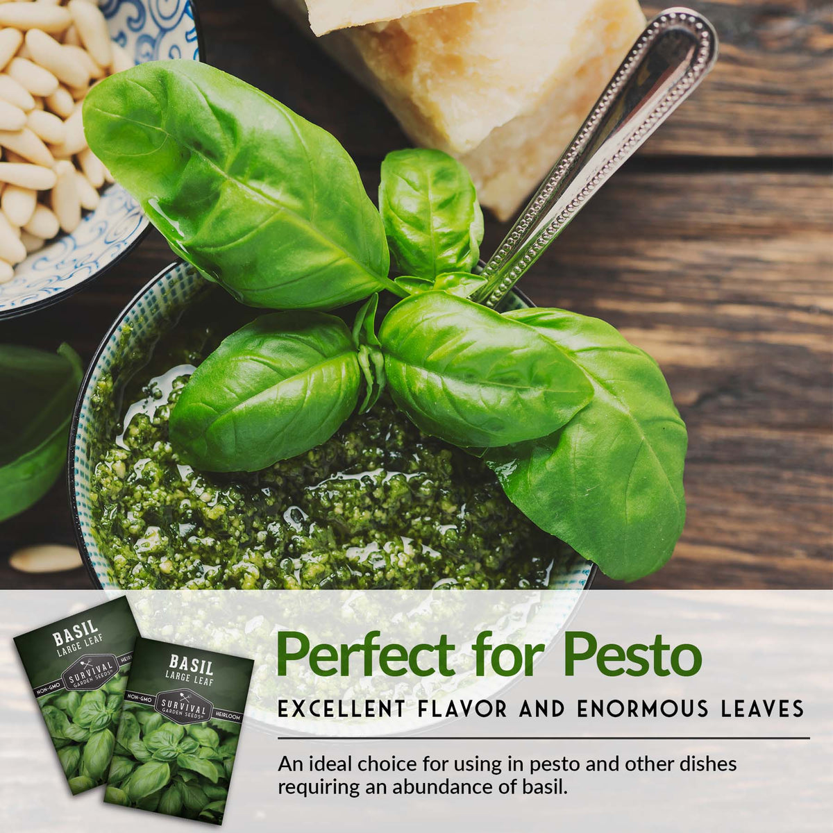 Large Leaf basil is perfect for pesto