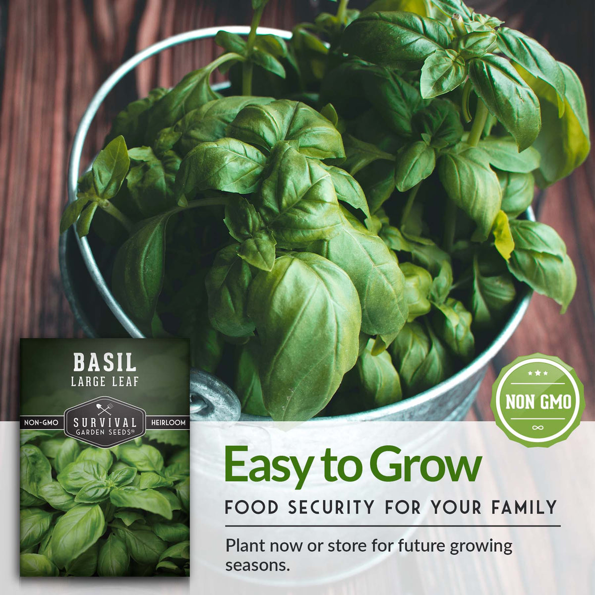 Large leaf basil is easy to grow