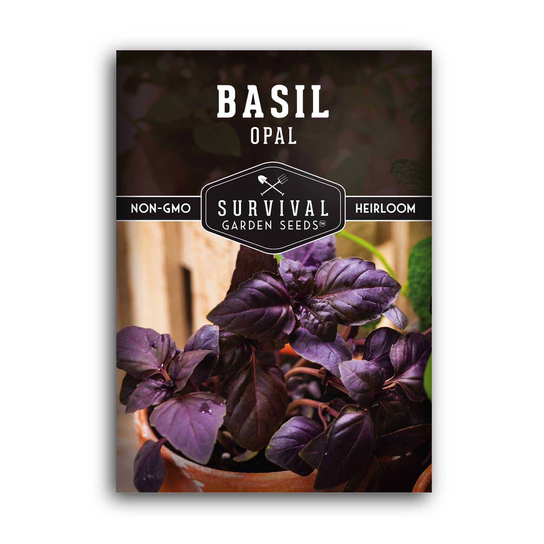 Opal Basil heirloom herb seeds