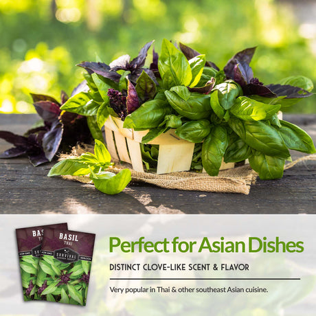 Thai basil is perfect for Asian dishes