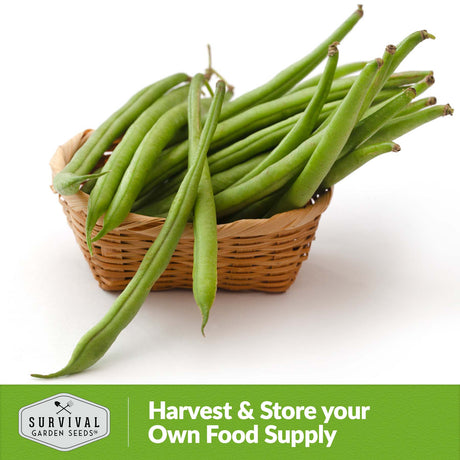 Harvest and store your own food supply