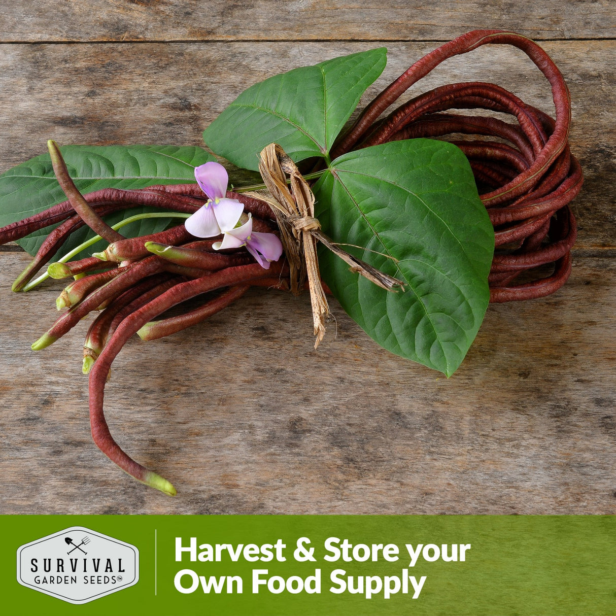 Harvest and store your own food supply