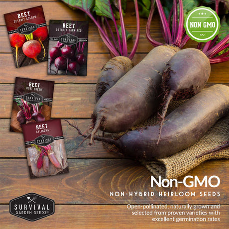 4 varieties of non-GMO beet seeds