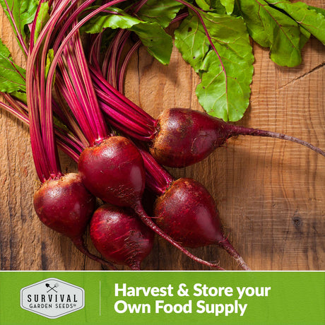 Harvest and store your own food supply