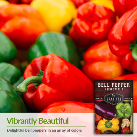 Delightful bell peppers in an array of colors