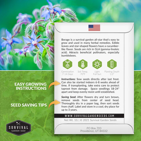 Borage seed planting instructions