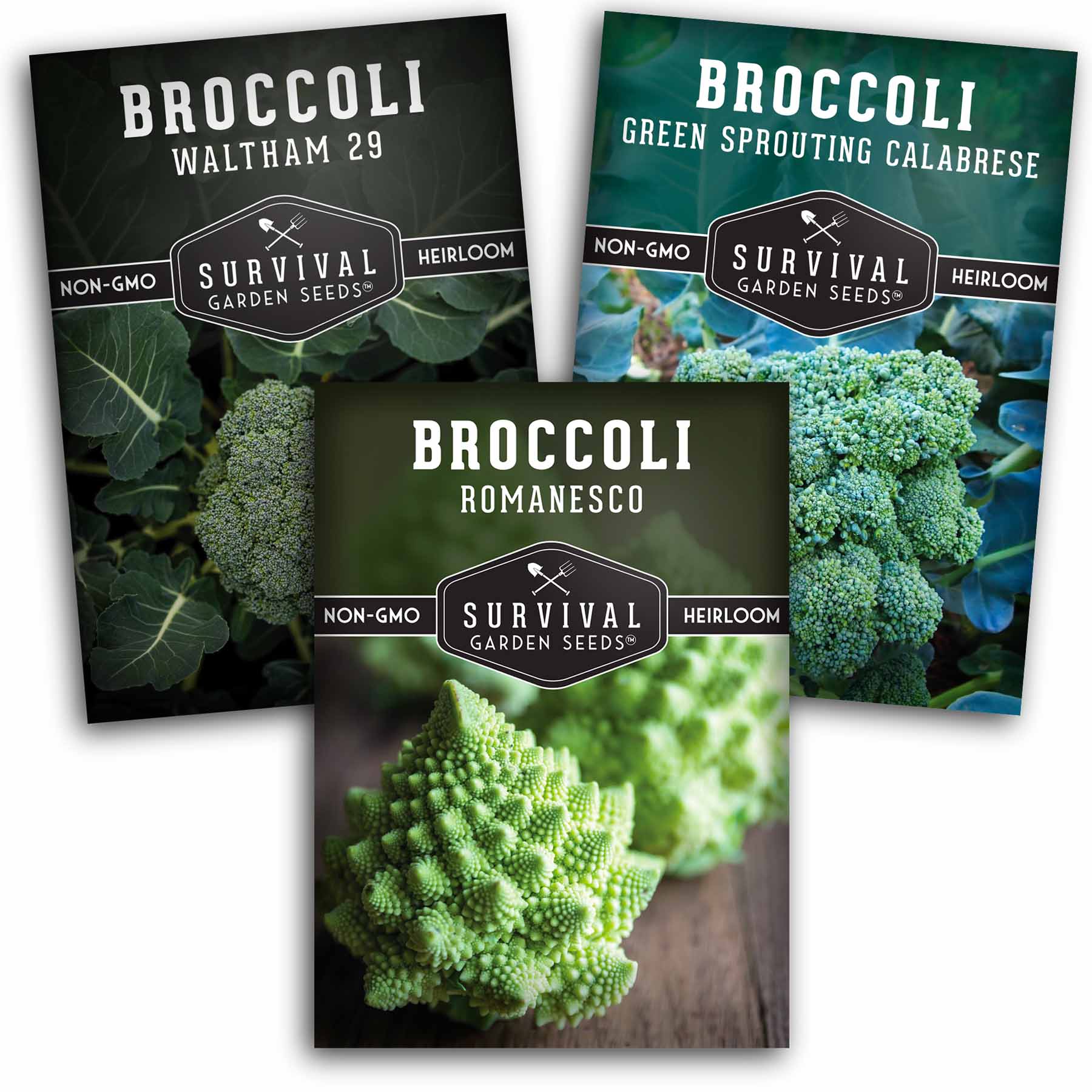 Broccoli Seed Collection - 3 Varieties – SurvivalGardenSeeds