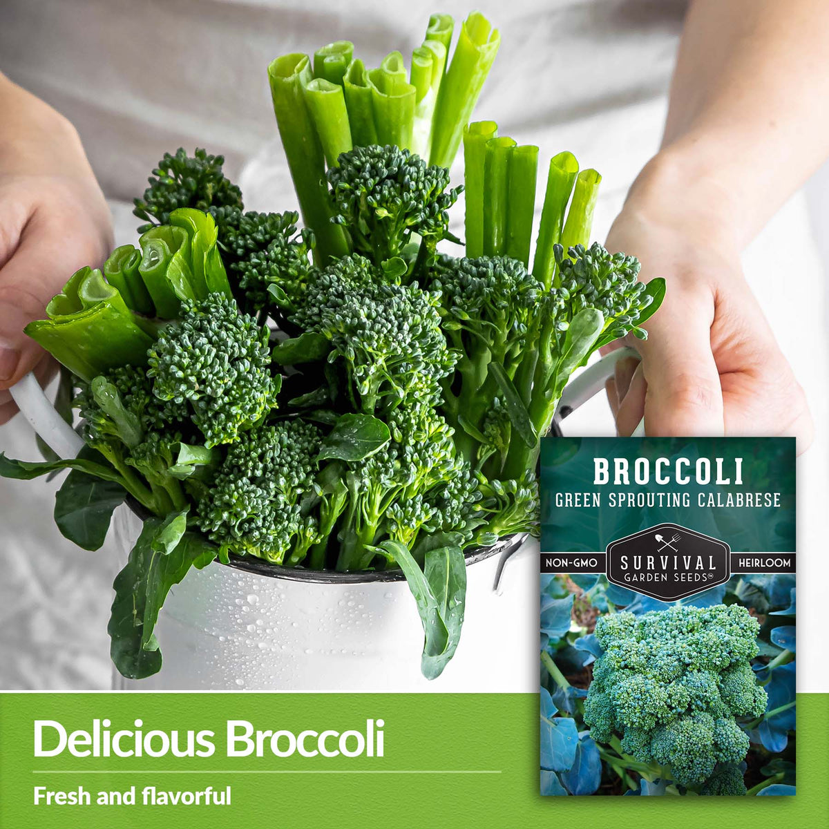 Green Sprouting Calabrese Broccoli is fresh and flavorful