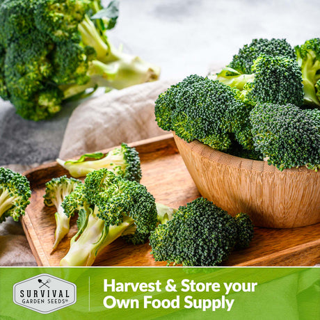 Harvest and store your own food supply