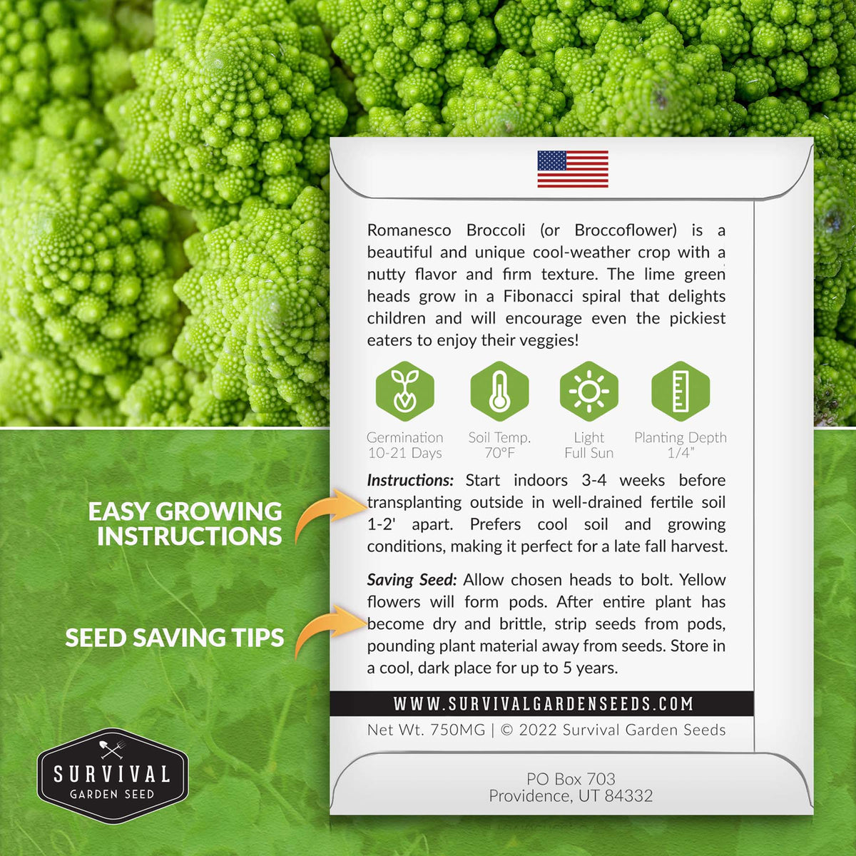 Romanesco Broccoli seed growing instructions