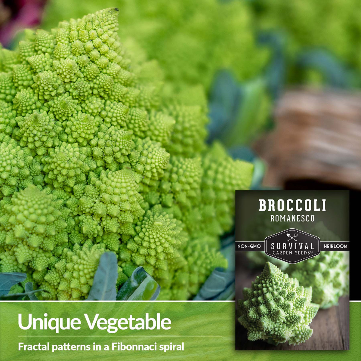 Romanesco Broccoli is a unique vegetable with a fractal pattern