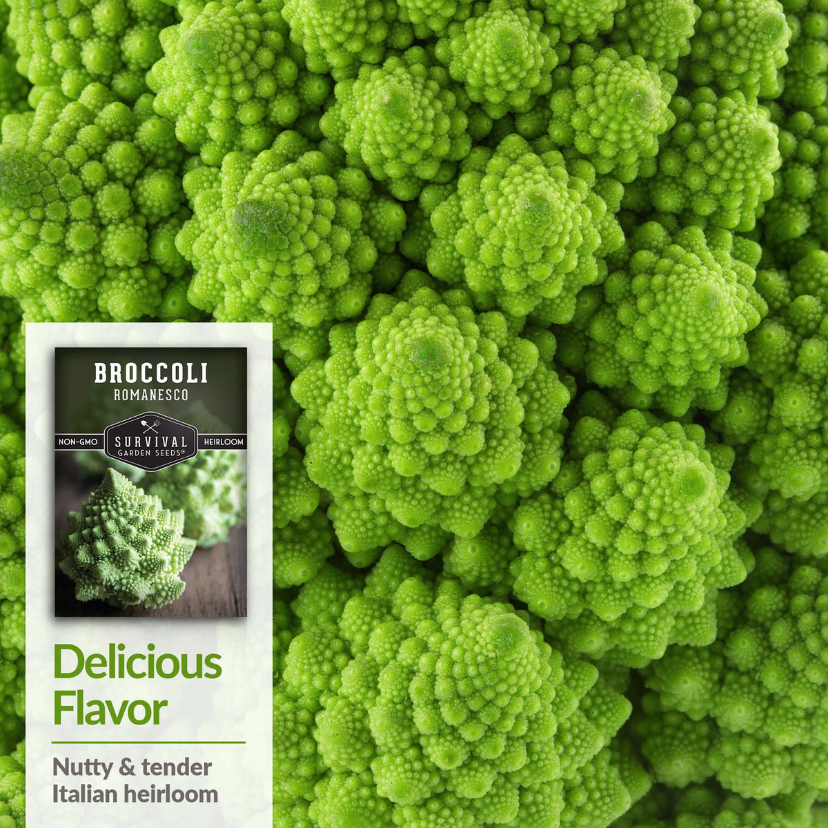 Romanesco Broccoli is a tender heirloom with a nutty flavor