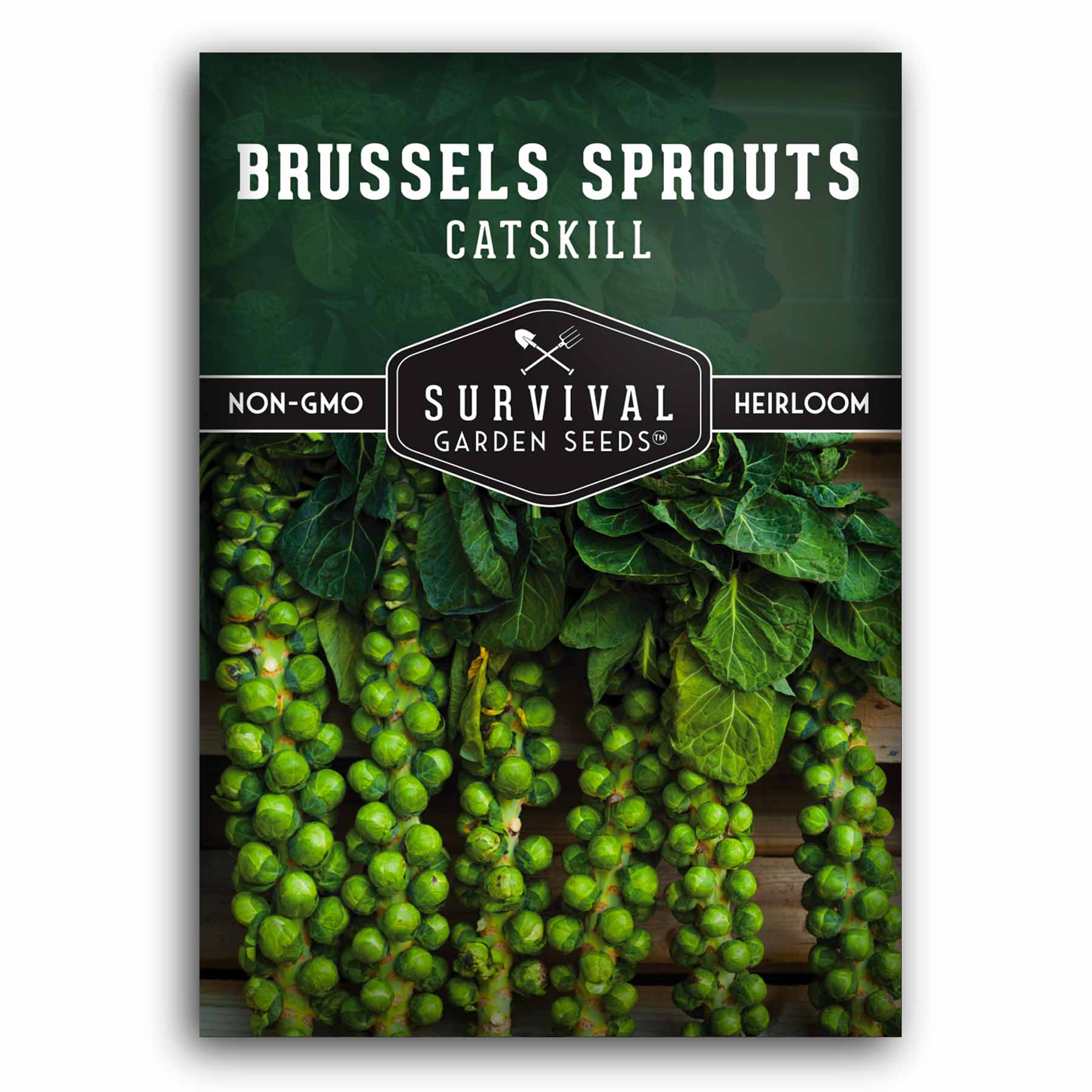 Catskill Brussels Sprout Seeds | Heirloom – SurvivalGardenSeeds