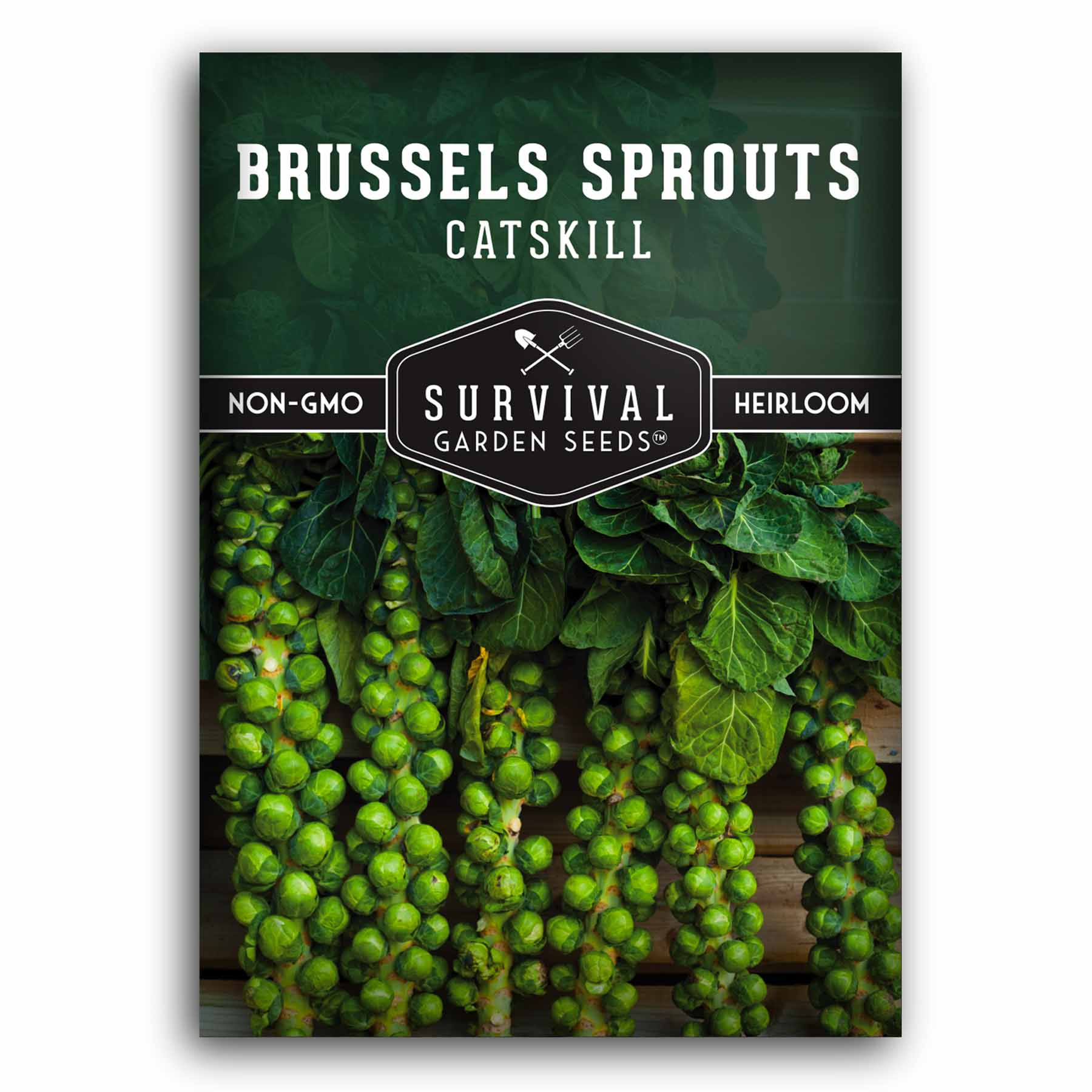 Catskill Brussels Sprout Seed Packet