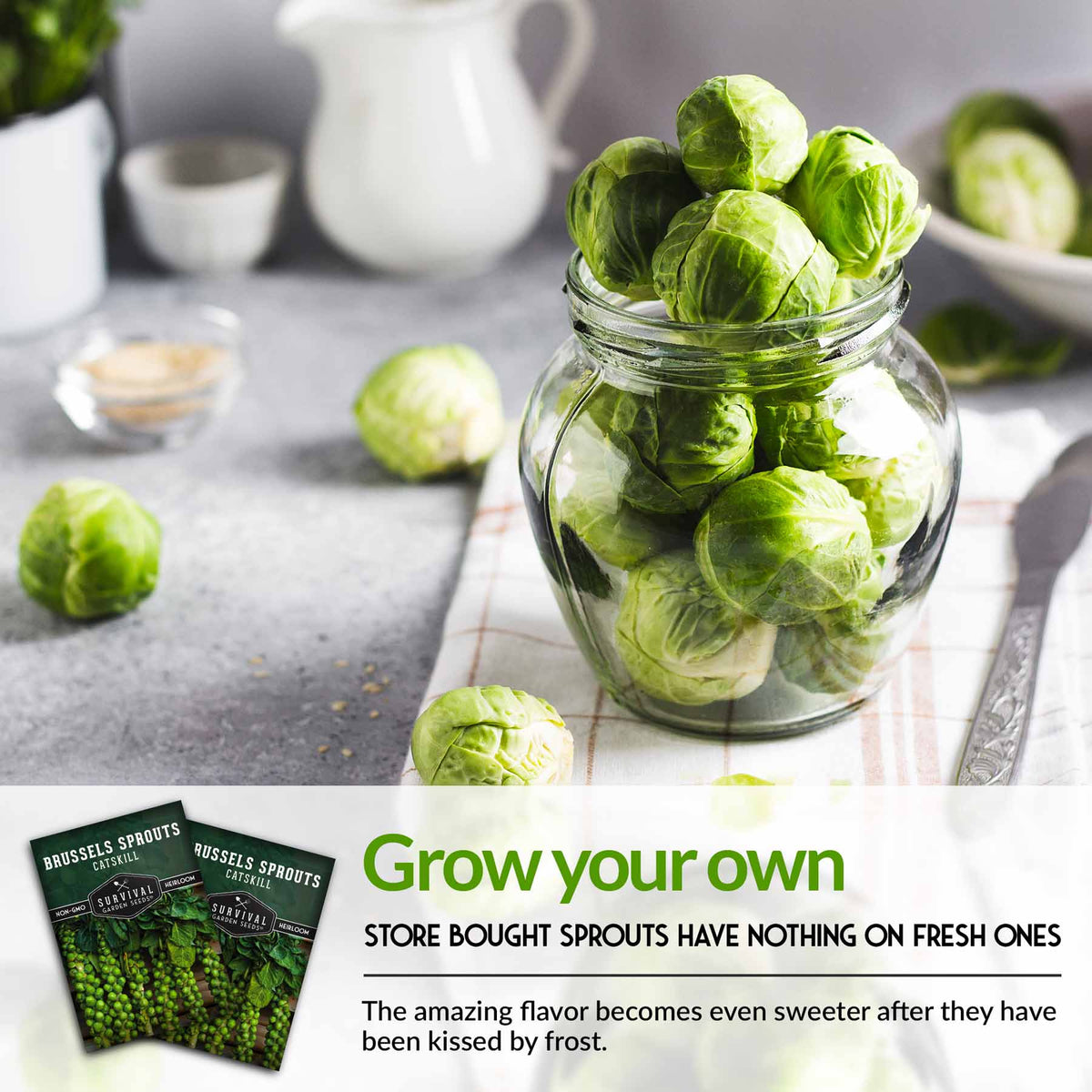 Grow your own brussels sprouts