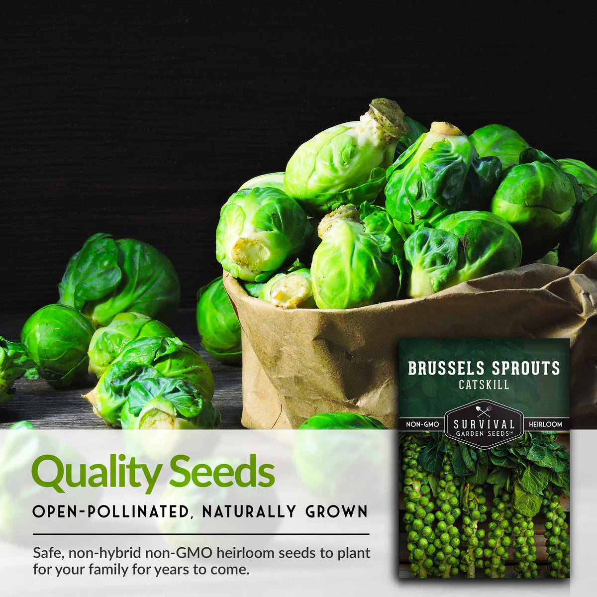 Quality open pollinated brussels sprouts seeds
