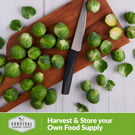 Harvest and store your own food supply