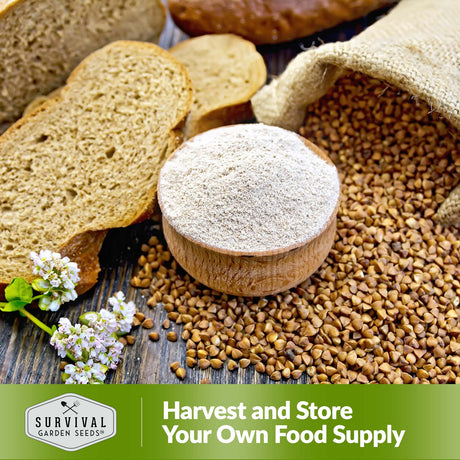 Harvest and store your own food supply