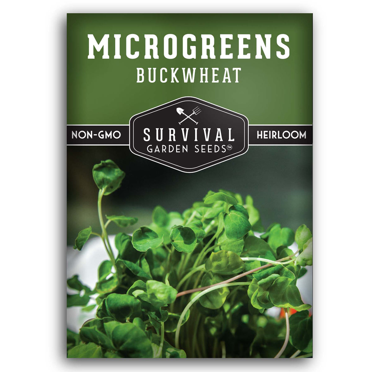Buckwheat Microgreens seeds for sprouting