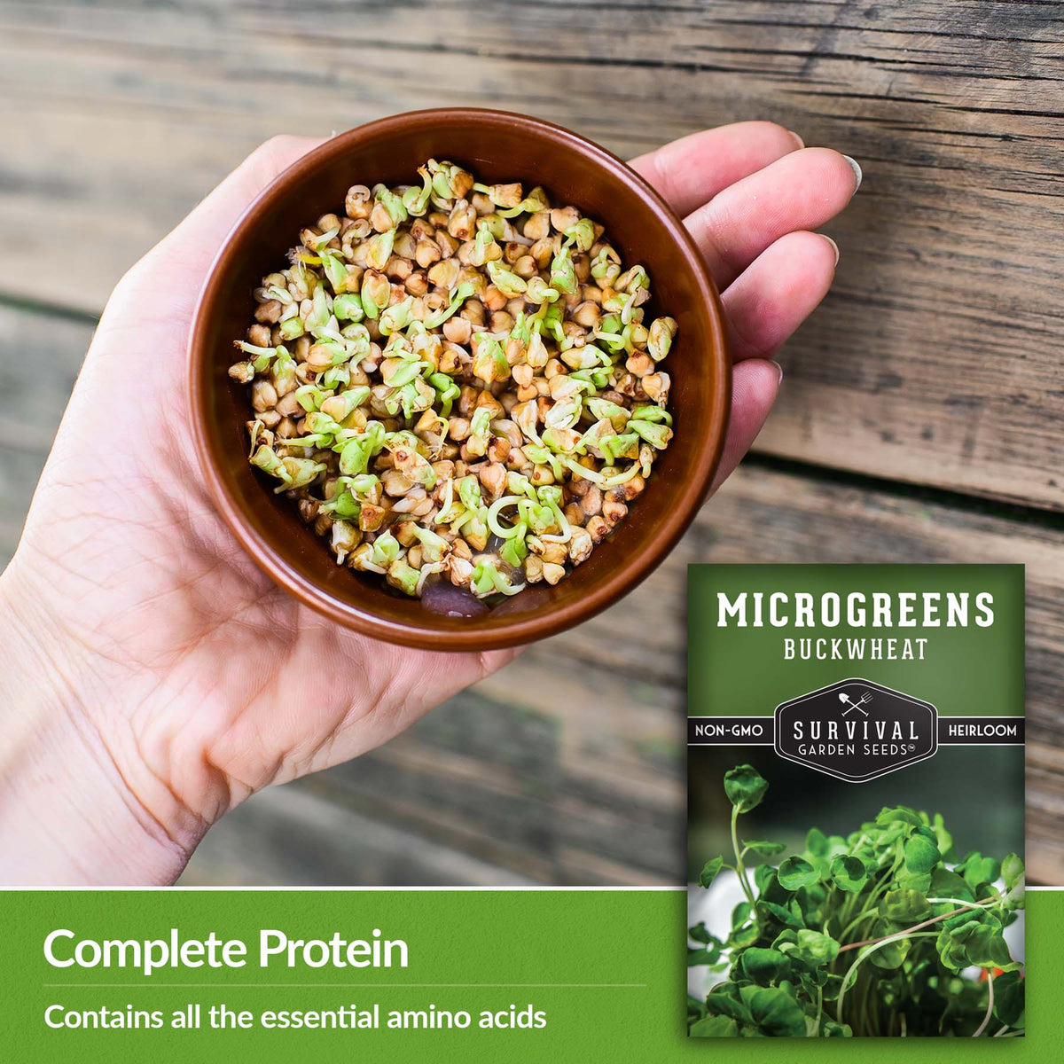 Buckwheat microgreens contain complete protein