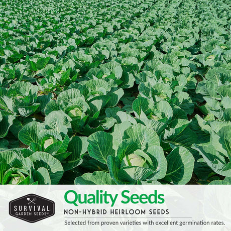 Quality Non-Hybrid Heirloom seeds