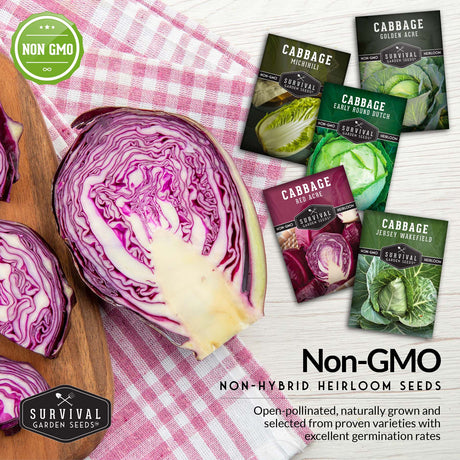 non-GMO Cabbage seeds