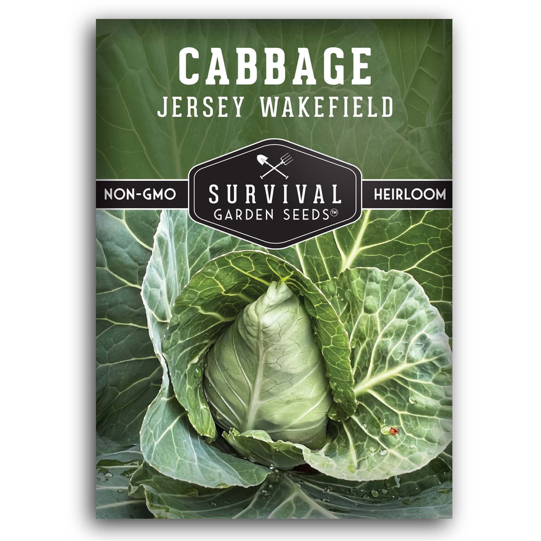 Jersey Wakefield Cabbage seeds for planting