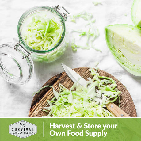 Harvest and store your own food supply