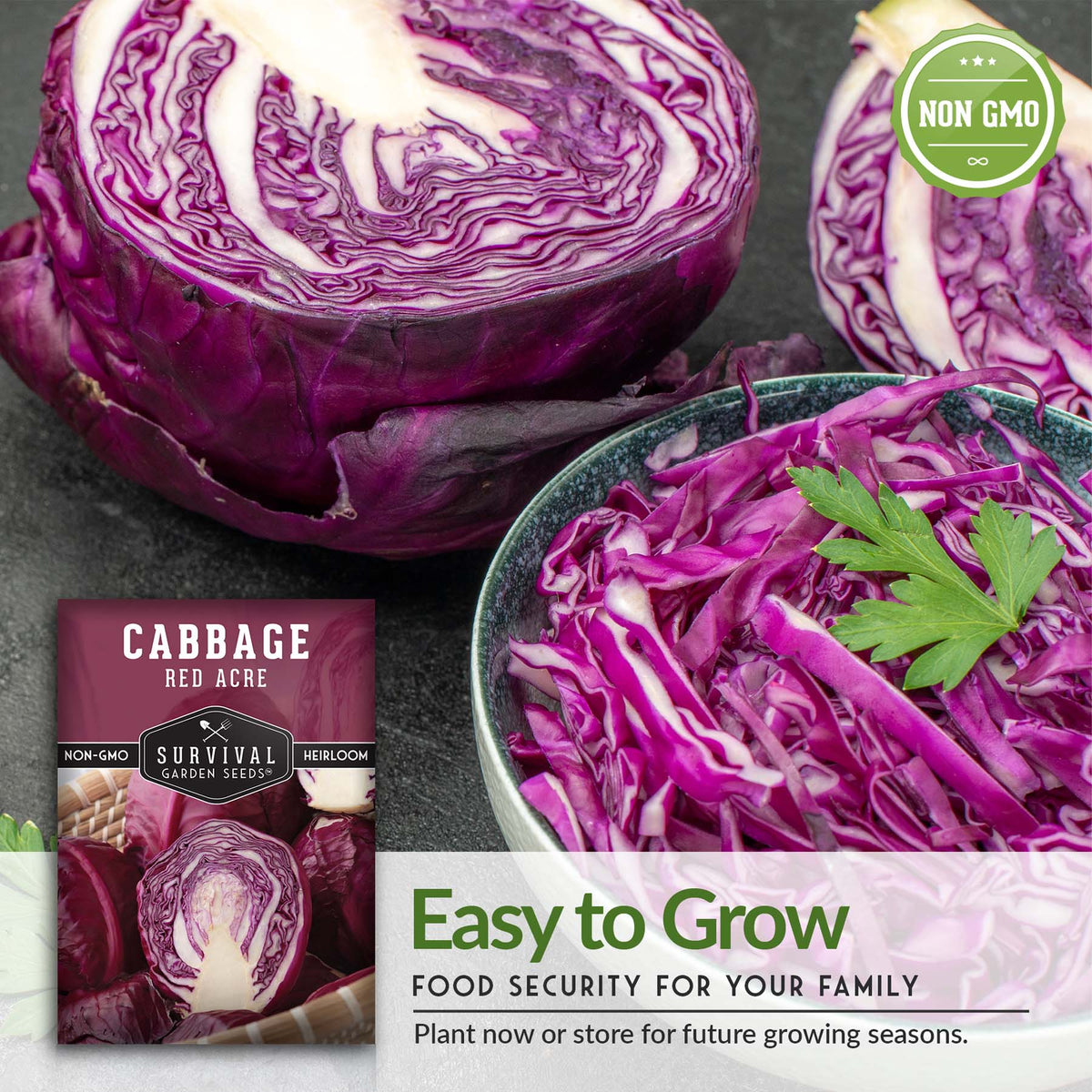 Red Acre Cabbage is easy to grow