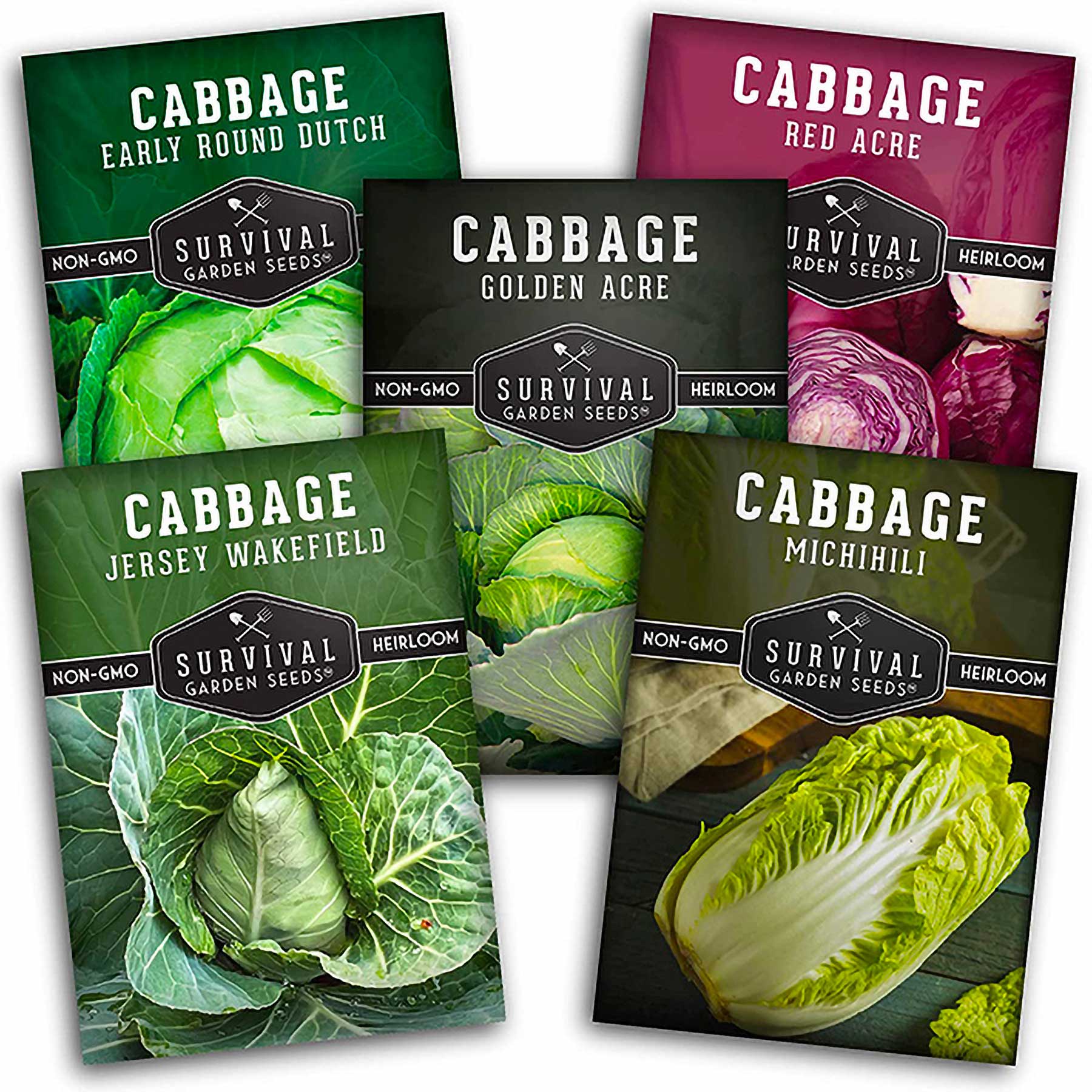 Cabbage Seed Collection - 5 Popular varieties