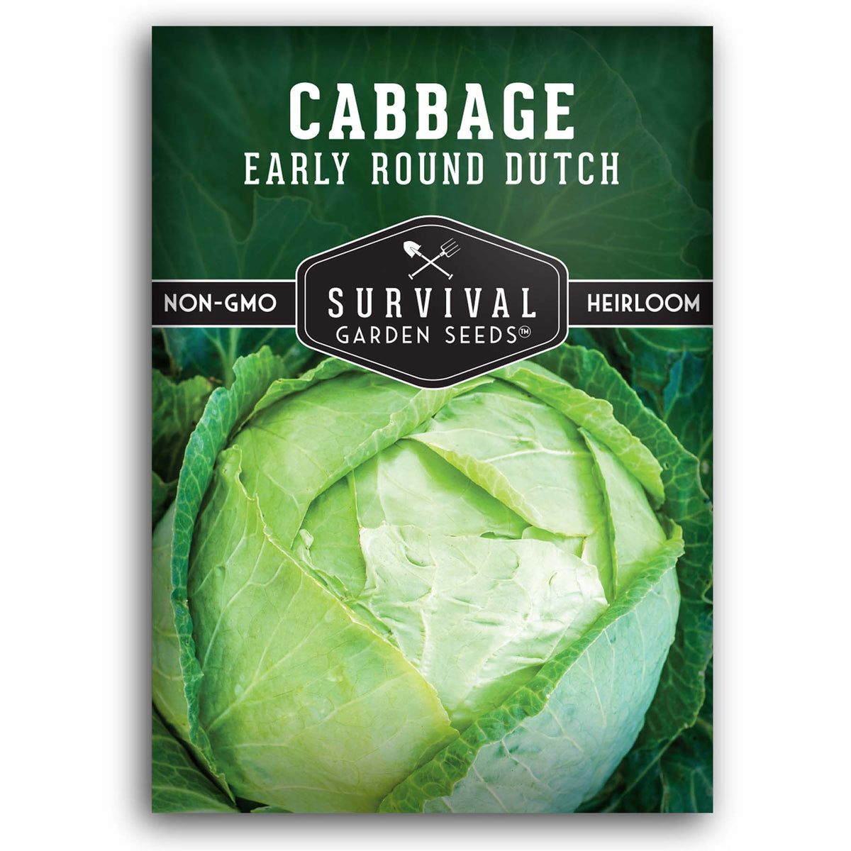 Early Round Dutch Cabbage seed for planting