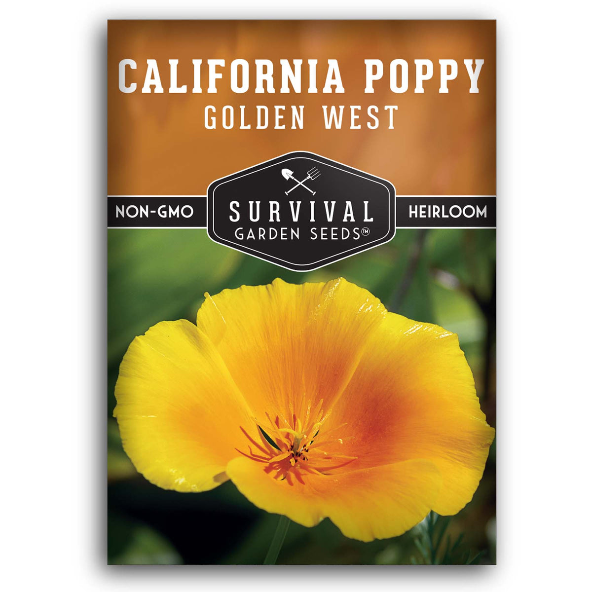 Golden West California Poppy seeds for planting