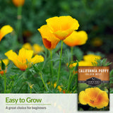 California Poppy is an easy to grow choice for beginners