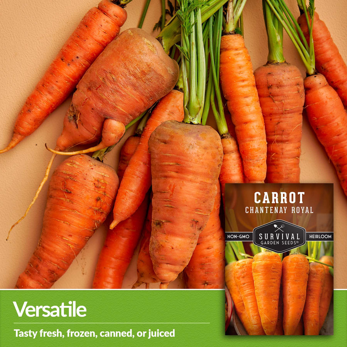 Chantenay Royal Carrots are versatile and can be eaten fresh, frozen, canned or juiced