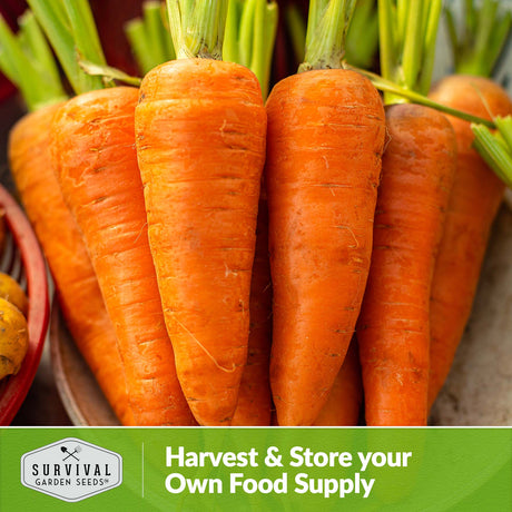 Harvest and store your own food supply