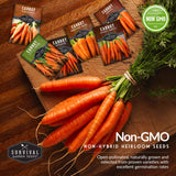 Non-GMO non-hybrid heirloom carrot seeds