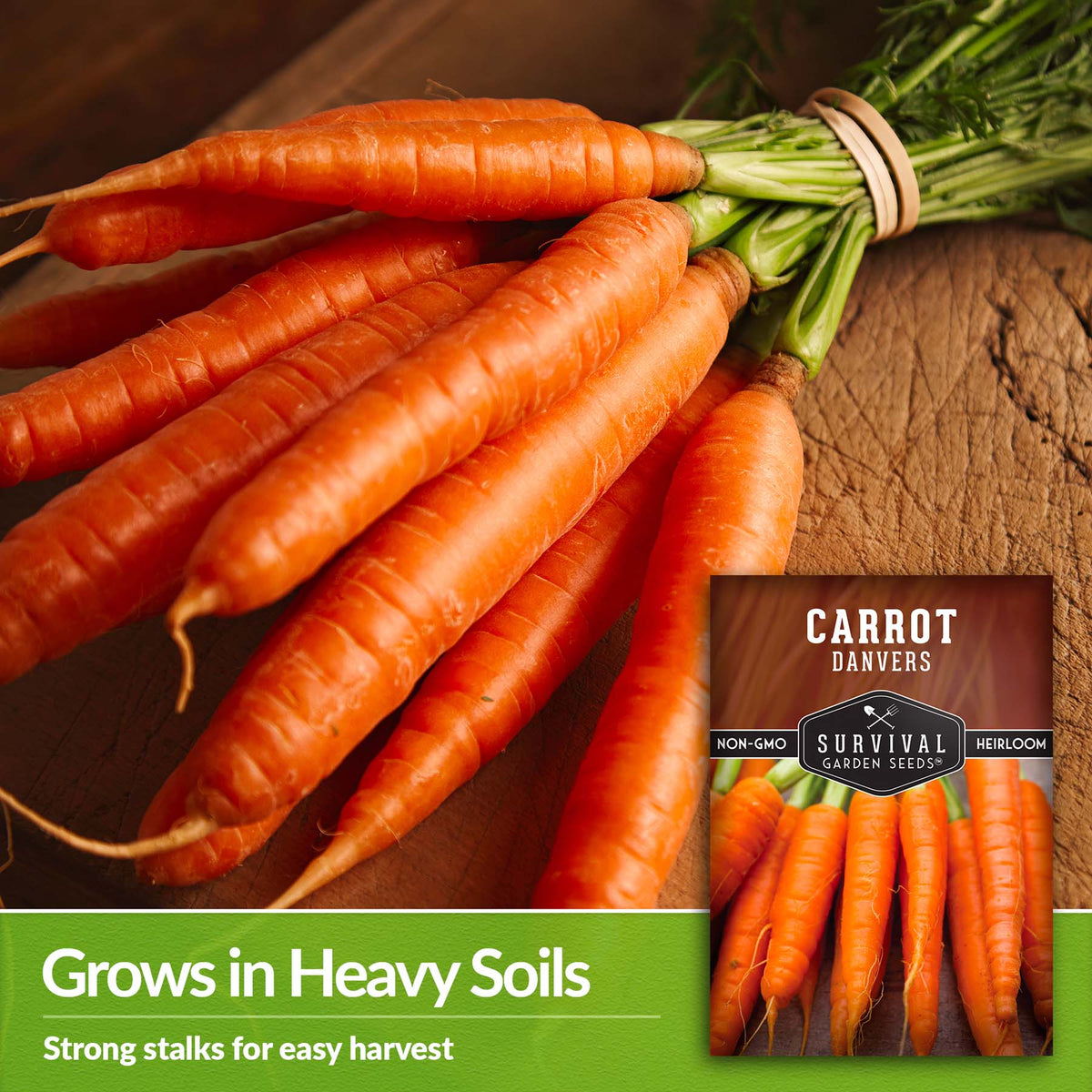 Danvers Carrots have strong stalks that grow in heavy soil