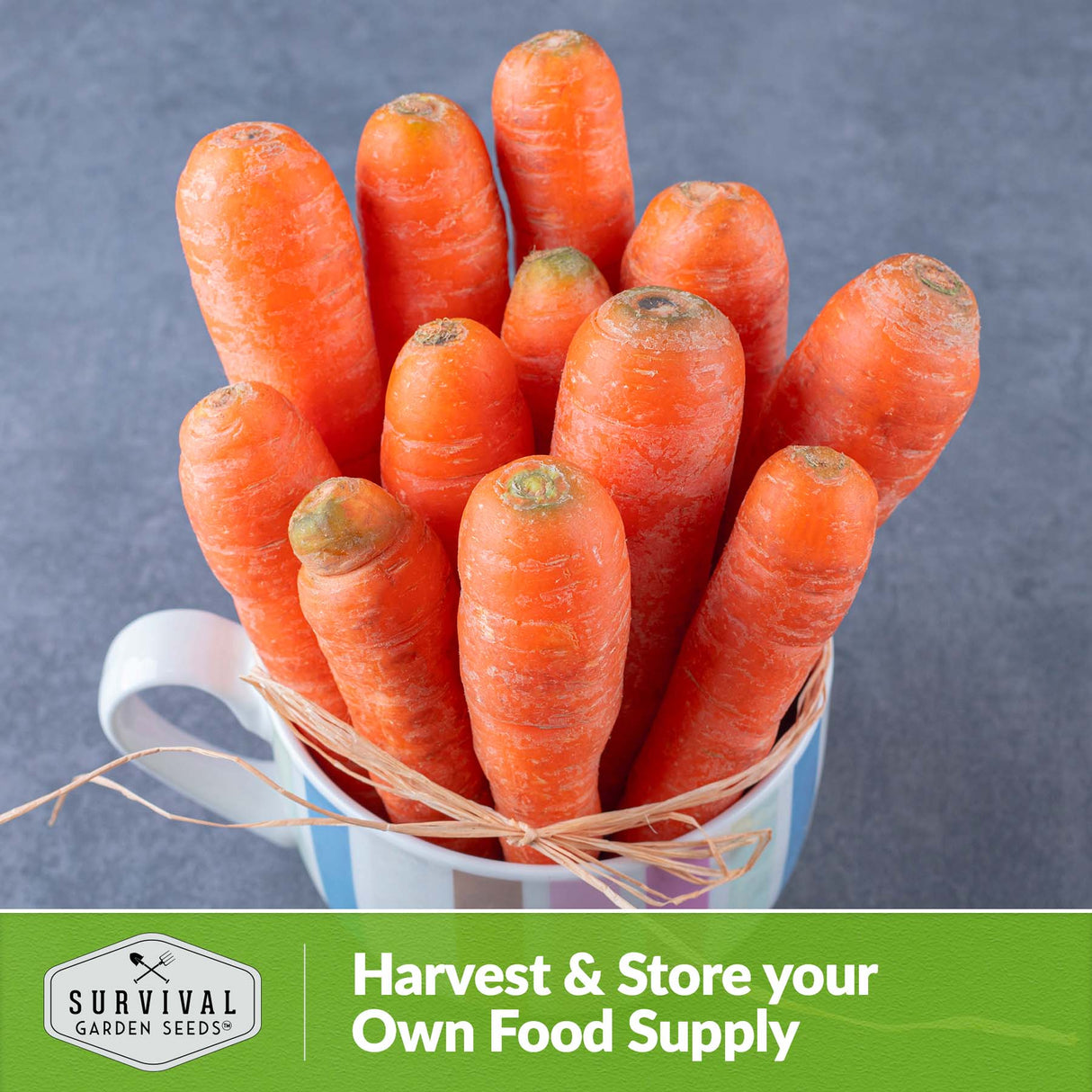 Harvest and store your own food supply