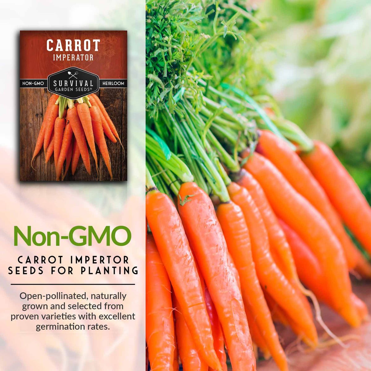 Non-GMO Imperator Carrot Seeds for Planting